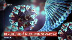 Ученые открыли неизвестный ранее механизм возникновения новых штаммов SARS-CoV-2